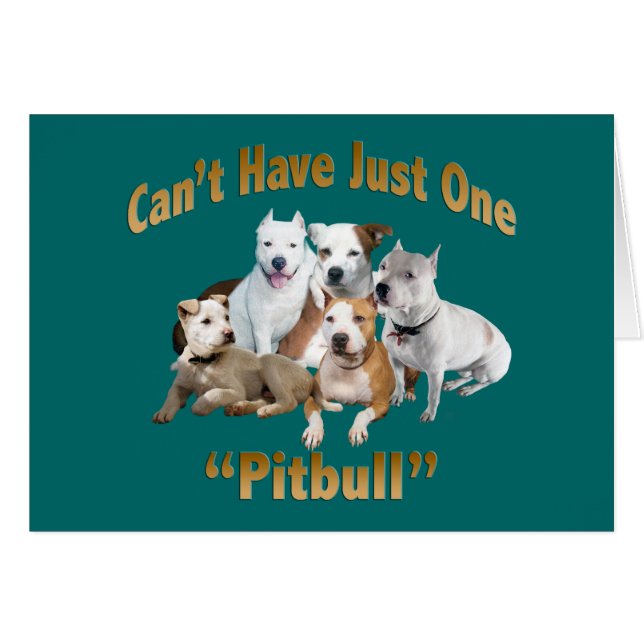 Kann nicht nur einen Pitbull haben (Vorderseite (Horizontal))