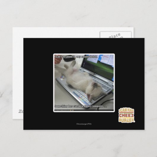 Kann nicht reagieren postkarte (Vorne/Hinten)