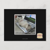 Kann nicht reagieren postkarte (Vorderseite)