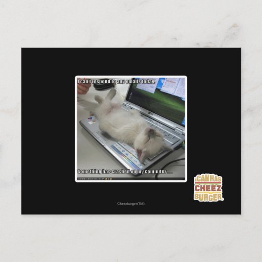 Kann nicht reagieren postkarte (Vorderseite)