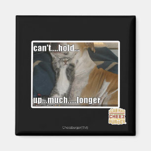 Kann nicht viel länger aufhalten magnet