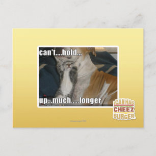 Kann nicht viel länger aufhalten postkarte