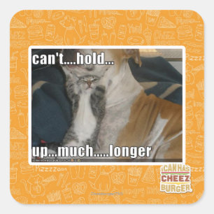Kann nicht viel länger aufhalten quadratischer aufkleber