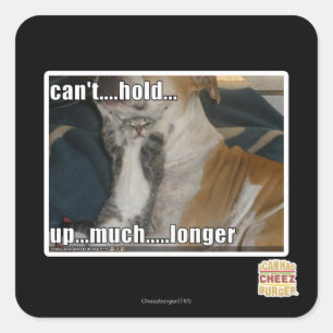 Kann nicht viel länger aufhalten quadratischer aufkleber