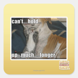 Kann nicht viel länger aufhalten quadratischer aufkleber