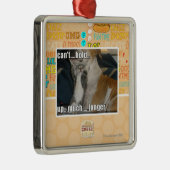 Kann nicht viel länger halten silbernes ornament (Rechts)