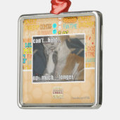 Kann nicht viel länger halten silbernes ornament (Links)