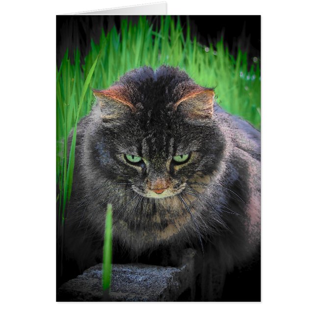 Kann nicht wegschauen (Vorne)