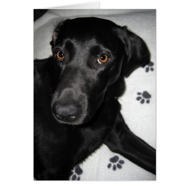 Kann sich nicht helfen (Vorne)