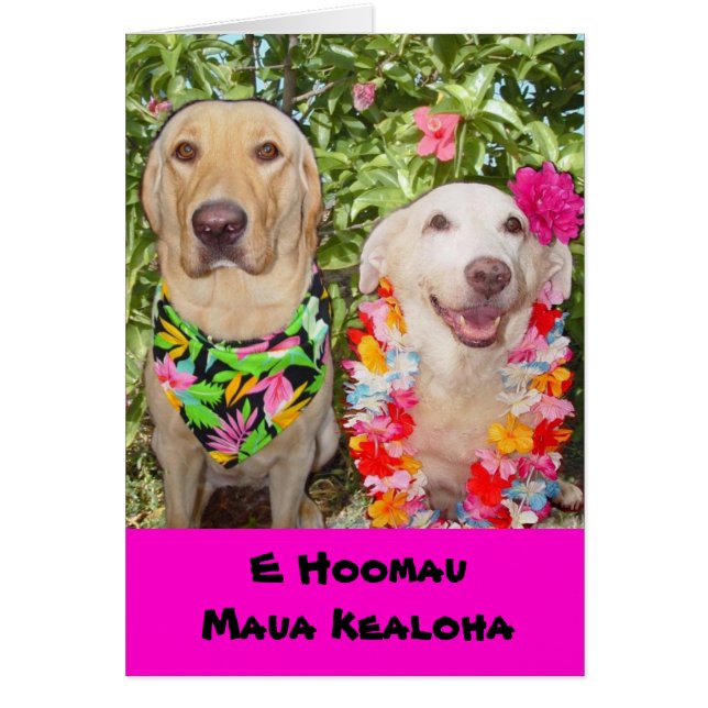 Kann unser Liebe-Letztes für immer! (Vorne)