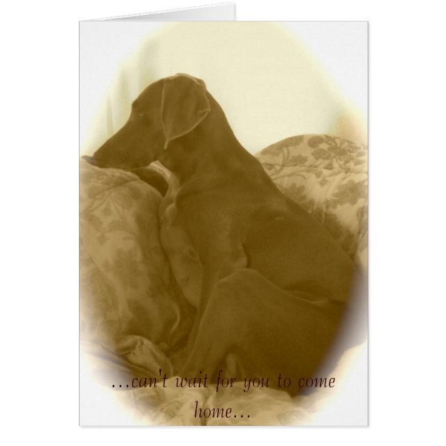 … kann warten nicht, dass Sie Zuhause… kommen (Vorne)