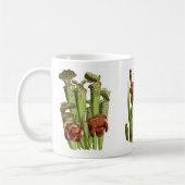 Kannenpflanzen Kaffeetasse (Links)