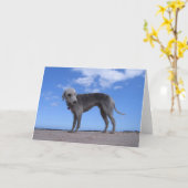 Kanon ixus 057 karte (Gelbe Blume)