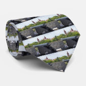 Kanonen bei Castillo San Marcos Krawatte (Gerollt)