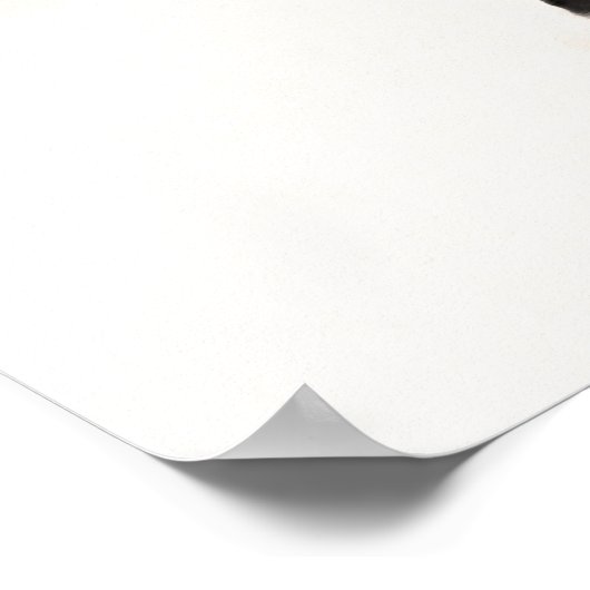 Kanonenboot und Monitor Poster (Ecke)