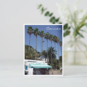 Kanonenpalme Postkarte (Stehend Vorderseite)