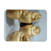 Kanopische Gläser aus Om, Saite (Alabaster) Magnet (Horizontal)