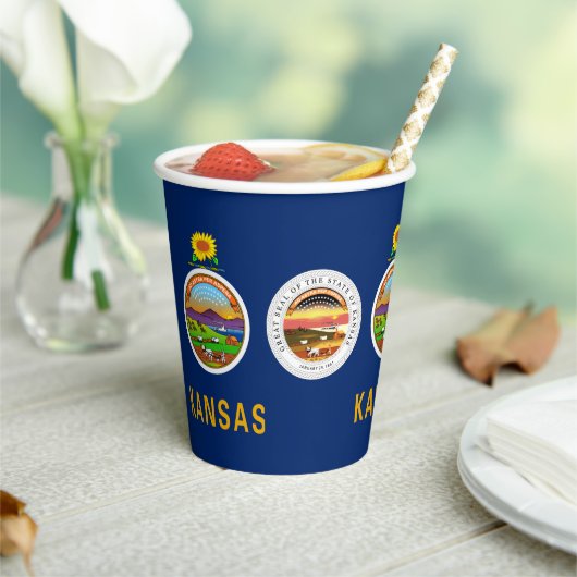 Kansan Flag & Seal, Flag of Kansas Pappbecher (In Situ)