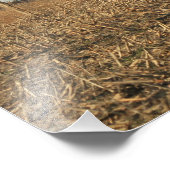 Kansas Altes Holz Foto Erweiterung (Ecke)