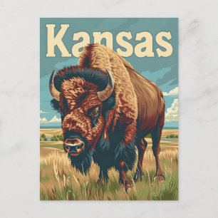 Kansas American Bison Postkarte