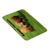 Kansas Bauern Cows Magnet (Rechte Seite)