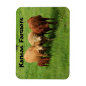 Kansas Bauern Cows Magnet (Vertikal)