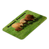 Kansas Bauern Cows Magnet (Linke Seite)