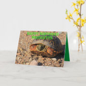 Kansas Box Shell Turtle Birthday Greeting Card Karte (Gelbe Blume)