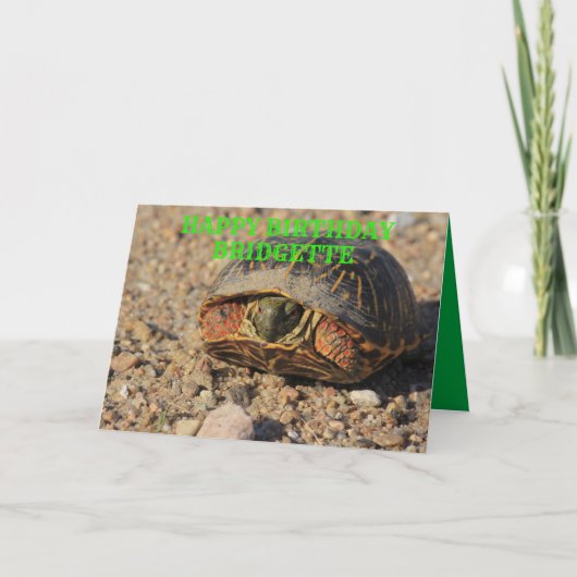 Kansas Box Shell Turtle Birthday Greeting Card Karte (Vorderseite)
