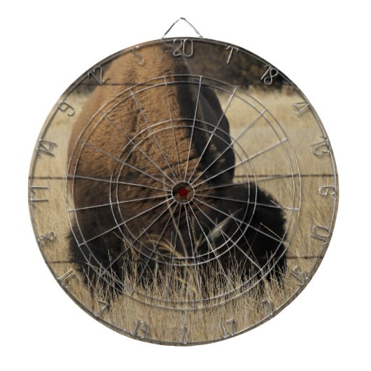 Kansas Buffalo in einer Weide DART BOARD Dartscheibe (vorne)