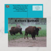Kansas Buffalo POST CARD Postkarte (Vorne/Hinten)