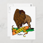 Kansas Buffalo Postkarte (Vorne/Hinten)