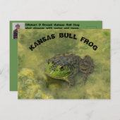Kansas Bull Frog schuss POST-KARTE Postkarte (Vorne/Hinten)