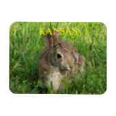 Kansas Bunny Rabbit Magnet (Horizontal)