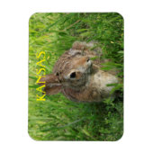 Kansas Bunny Rabbit Magnet (Vertikal)