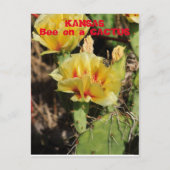 Kansas Cactus with a Bee Postkarte (Vorderseite)