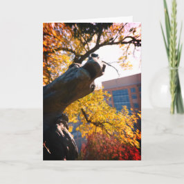 Kansas City Plaza Reitstall Karte