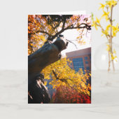 Kansas City Plaza Reitstall Karte (Gelbe Blume)