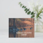 KANSAS COUNTRY GEESE Postcard Postkarte (Stehend Vorderseite)