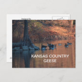 KANSAS COUNTRY GEESE Postcard Postkarte (Vorne/Hinten)