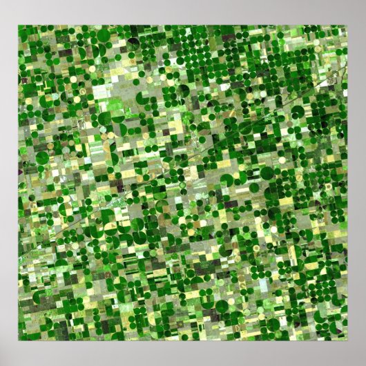 Kansas Crop Circles - Sat View Poster (Vorne)