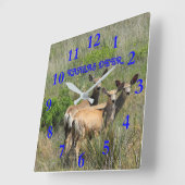 Kansas Deer Quadratische Wanduhr (Winkel)