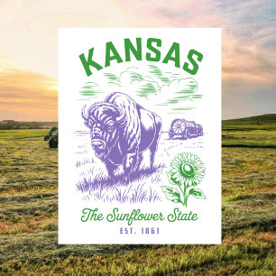 Kansas Der Sonnenblumen Staat Est. 1861 Ochse und  Postkarte