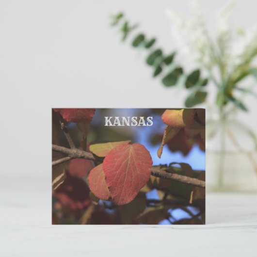 Kansas Fall Leave Postkarte (Stehend Vorderseite)