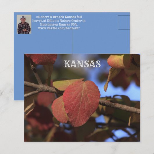 Kansas Fall Leave Postkarte (Vorne/Hinten)
