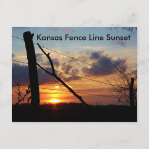 Kansas Fence Line Sunset Post Card Postkarte