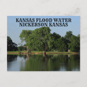 Kansas Flood Water Nickerson Kansas Post Card Postkarte
