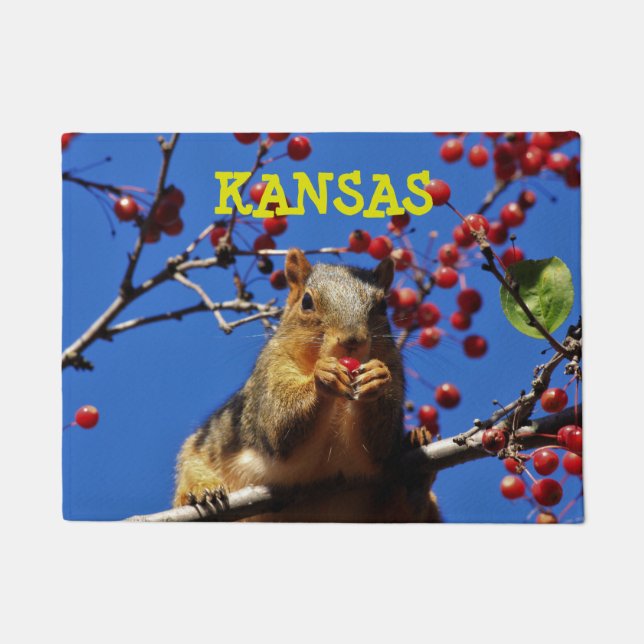 Kansas Fox Schwanz Eichhörnchen Square Doormat Fußmatte (Vorderseite)