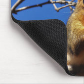 Kansas Fox Schwanz Squirrel Mouse PAD Mousepad (Ecke)
