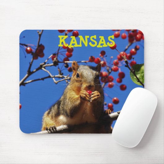 Kansas Fox Schwanz Squirrel Mouse PAD Mousepad (Mit Mouse)